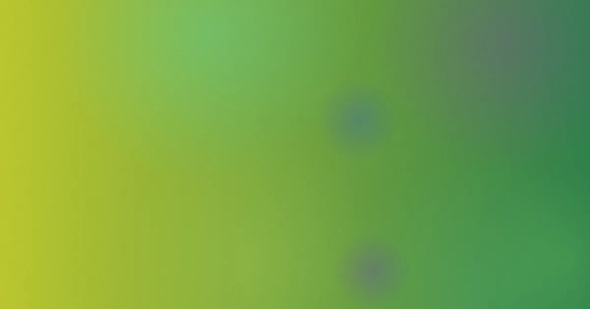 陈粒歌曲避坑：别这样入门